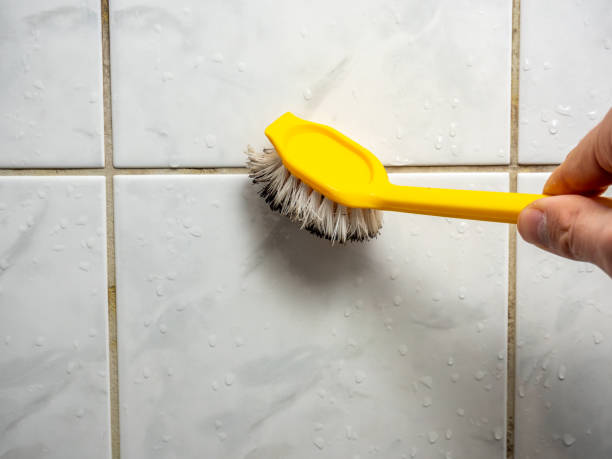 Best Home Mold Removal  in Tillson, NY
